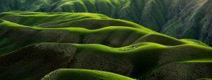 Foto van groen glooiend landschap van bovenaf gezien met een herder en zijn schaapskudde in de verte door Qingbao Meng via Unsplash