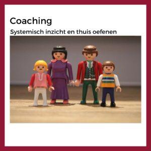 Systemische coaching online met poppetjes